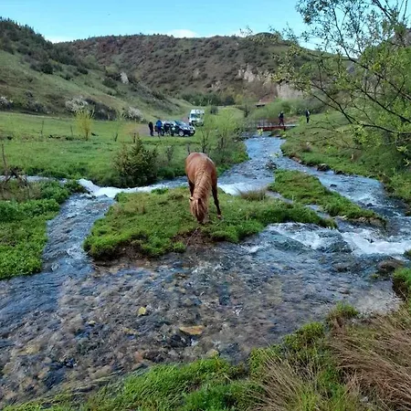 Lejlighed Etno Selo Vidikovac Sjenica
